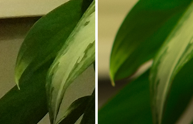 Честное сравнение камеры телефона и зеркального фотоаппарата - 7 Честное сравнение камеры телефона и зеркального фотоаппарата - 7