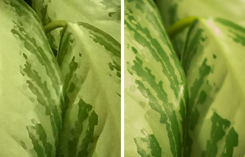 Честное сравнение камеры телефона и зеркального фотоаппарата - 8 Честное сравнение камеры телефона и зеркального фотоаппарата - 8