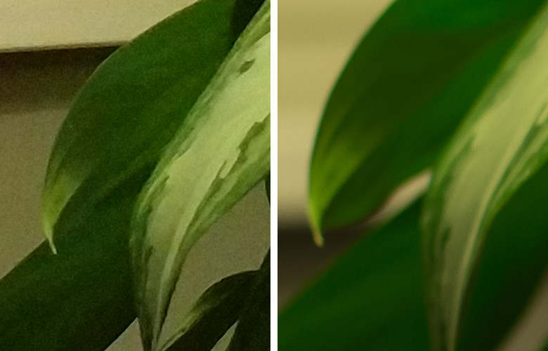 Честное сравнение камеры телефона и зеркального фотоаппарата - 9 Честное сравнение камеры телефона и зеркального фотоаппарата - 9