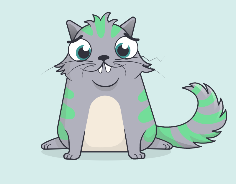 cryptocat