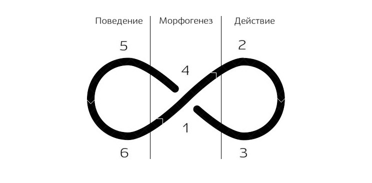 АСК-сценарий, как основа своевременности и гармонии в бизнесе - 1