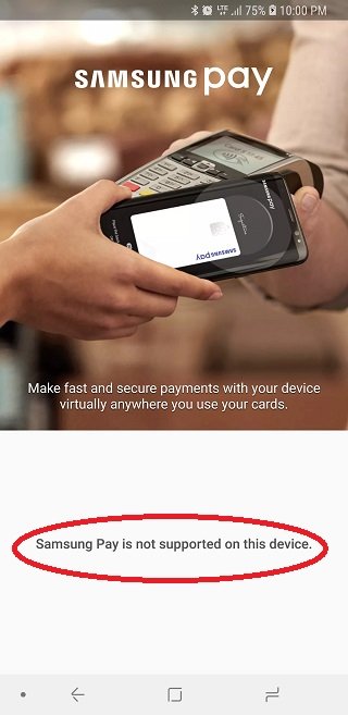 Samsung Pay