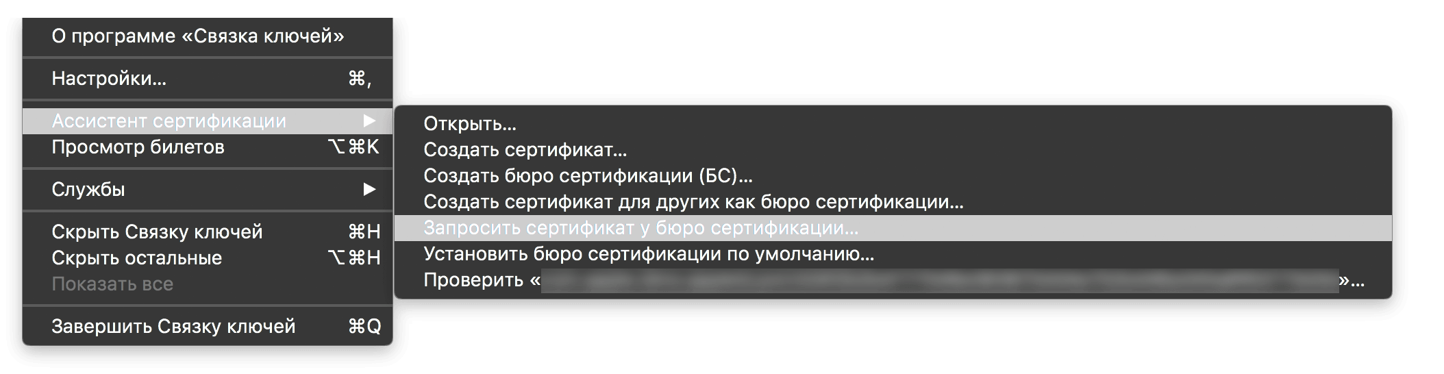 Как сделать Push уведомления в браузере Safari на macOS - 7