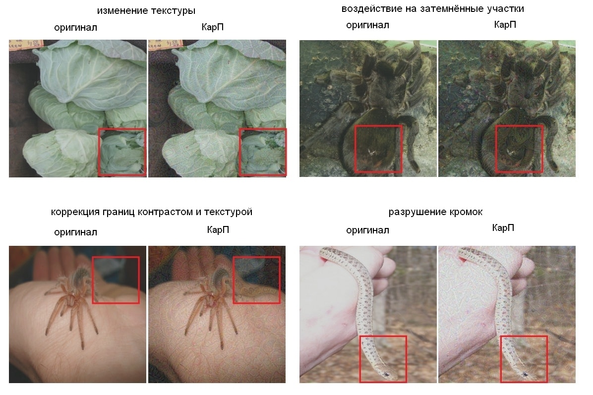 «Взлом» мозга при помощи «картинок-противоречий» - 6