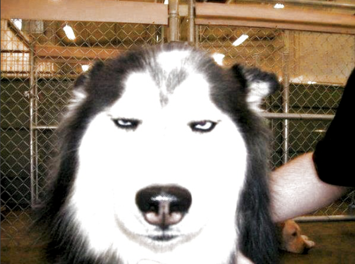 ComputerVision и с чем его едят - 6 ComputerVision и с чем его едят - 6