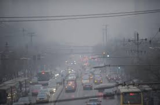 От уровня загрязнения окружающей среды зависит развитие мозга у нерожденных детей От уровня загрязнения окружающей среды зависит развитие мозга у нерожденных детей