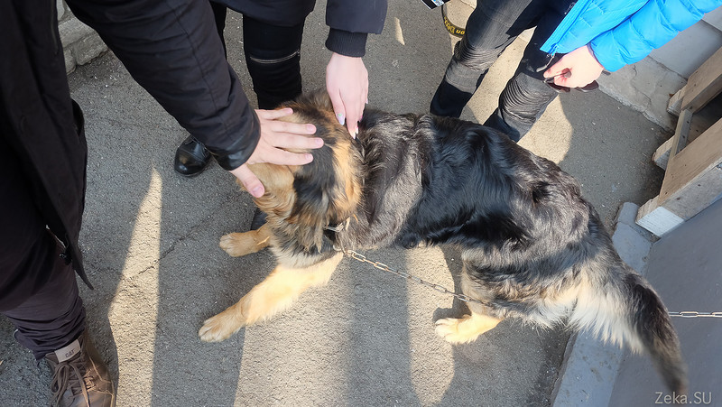 VTC — Центр спутниковой связи (Владивосток) - 19 VTC — Центр спутниковой связи (Владивосток) - 19