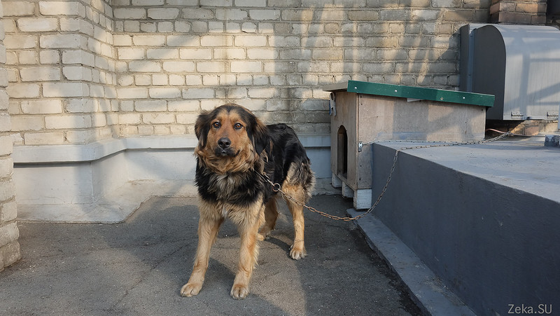 VTC — Центр спутниковой связи (Владивосток) - 9 VTC — Центр спутниковой связи (Владивосток) - 9