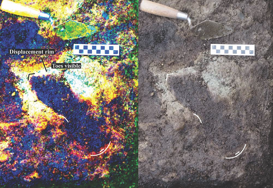 Археологи обнаружили отпечатки ног людей в отложениях возрастом 13000 лет на канадском пляже - 2