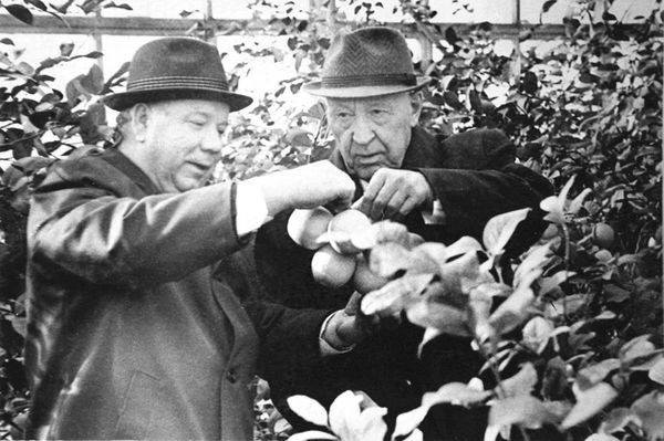 Красный Хогвартс. Серия 2. Перестарок - 1 image