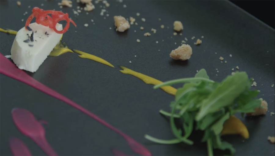 Пища недалекого будущего. Как готовят мясо из пробирки и почему мы все скоро будем его есть - 11 Пища недалекого будущего. Как готовят мясо из пробирки и почему мы все скоро будем его есть - 11