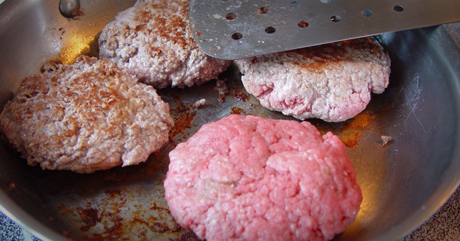 Пища недалекого будущего. Как готовят мясо из пробирки и почему мы все скоро будем его есть - 15 Пища недалекого будущего. Как готовят мясо из пробирки и почему мы все скоро будем его есть - 15