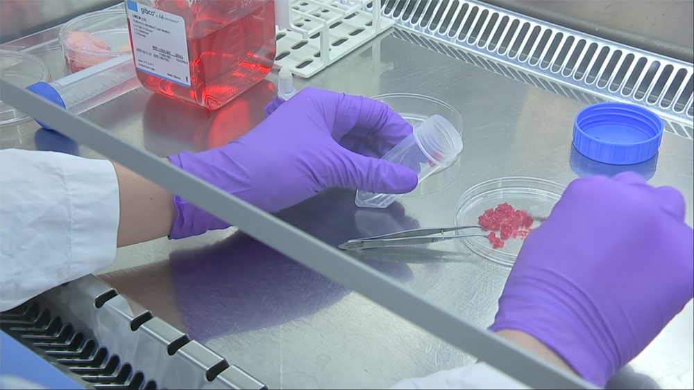 Пища недалекого будущего. Как готовят мясо из пробирки и почему мы все скоро будем его есть - 5 Пища недалекого будущего. Как готовят мясо из пробирки и почему мы все скоро будем его есть - 5