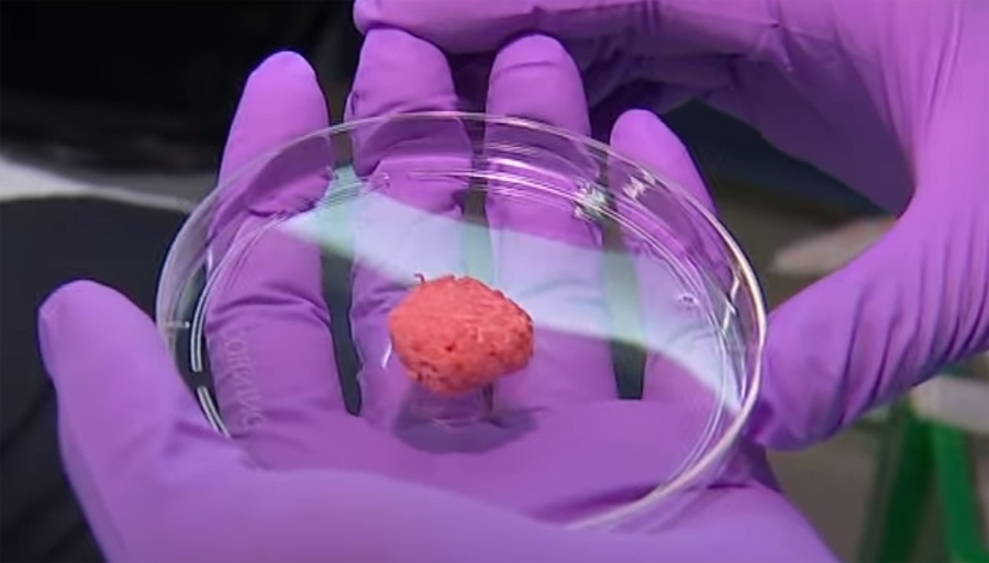 Пища недалекого будущего. Как готовят мясо из пробирки и почему мы все скоро будем его есть - 8 Пища недалекого будущего. Как готовят мясо из пробирки и почему мы все скоро будем его есть - 8