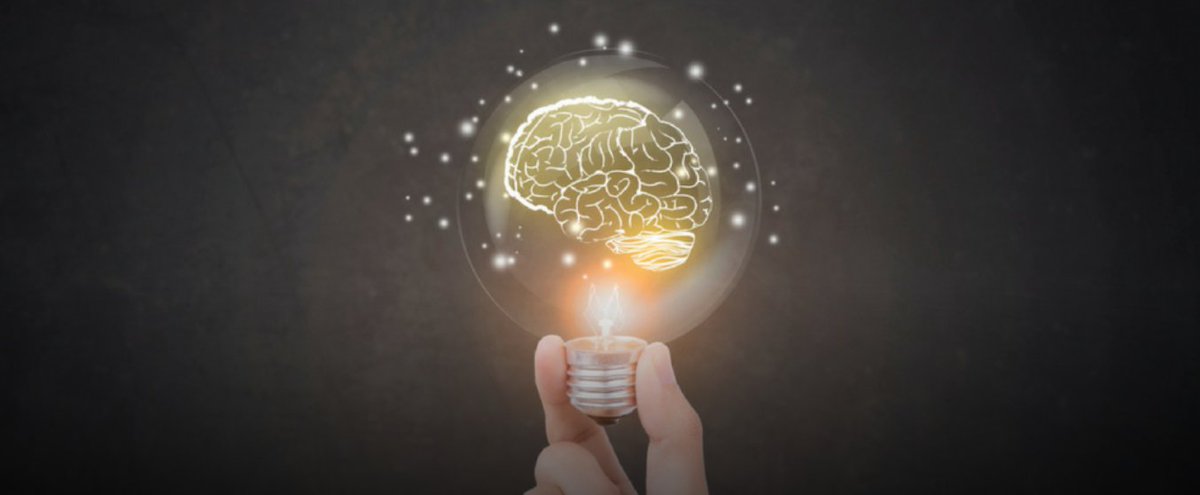 Сети, формирующие интеллект - 1