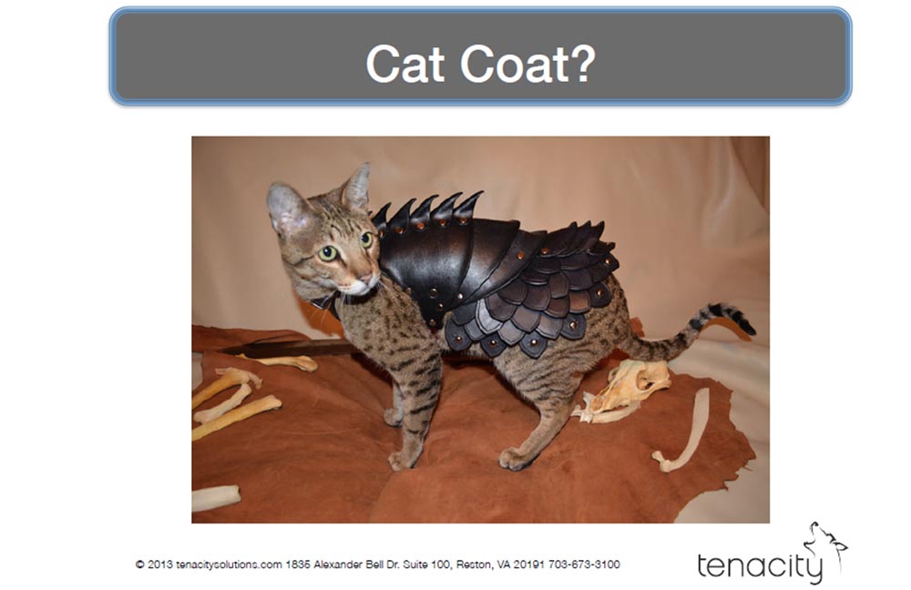 Конференция DEFCON 22. «Вооружение Ваших домашних питомцев. Боевая Киска и cобака для отказа сервиса». Джен Бренсфилд - 12