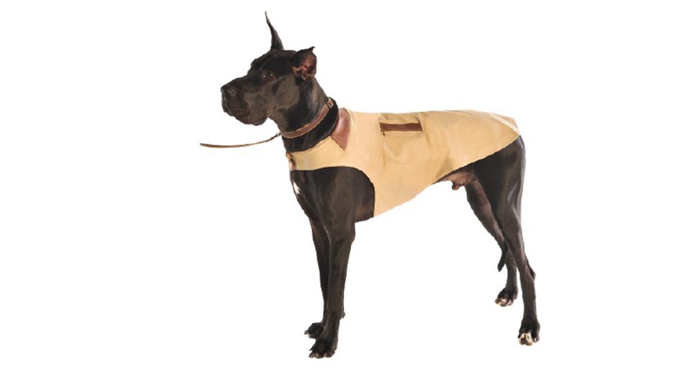 Конференция DEFCON 22. «Вооружение Ваших домашних питомцев. Боевая Киска и cобака для отказа сервиса». Джен Бренсфилд - 13