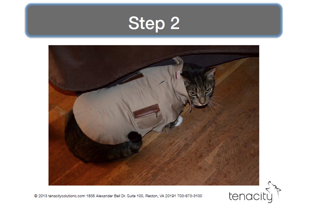 Конференция DEFCON 22. «Вооружение Ваших домашних питомцев. Боевая Киска и cобака для отказа сервиса». Джен Бренсфилд - 15