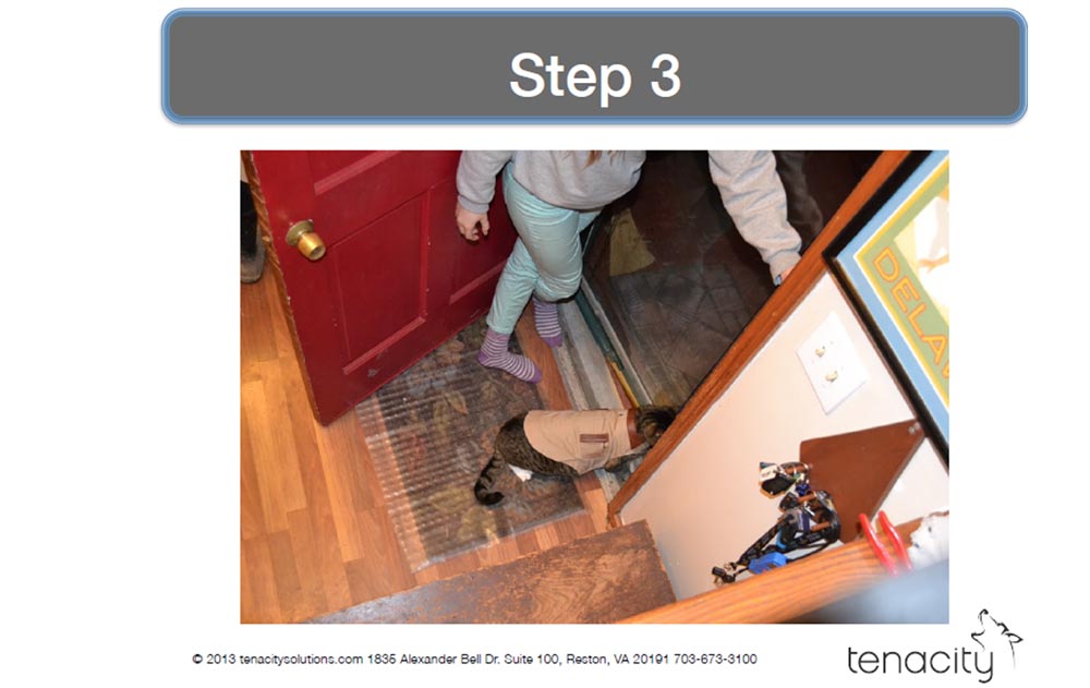 Конференция DEFCON 22. «Вооружение Ваших домашних питомцев. Боевая Киска и cобака для отказа сервиса». Джен Бренсфилд - 17