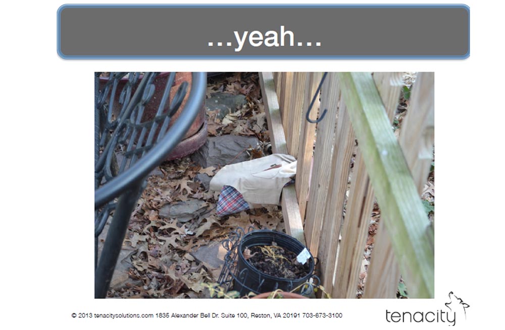 Конференция DEFCON 22. «Вооружение Ваших домашних питомцев. Боевая Киска и cобака для отказа сервиса». Джен Бренсфилд - 18