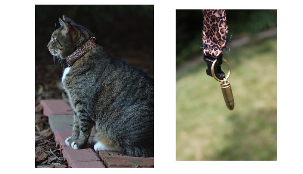 Конференция DEFCON 22. «Вооружение Ваших домашних питомцев. Боевая Киска и cобака для отказа сервиса». Джен Бренсфилд - 33