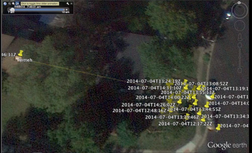 Конференция DEFCON 22. «Вооружение Ваших домашних питомцев. Боевая Киска и cобака для отказа сервиса». Джен Бренсфилд - 36