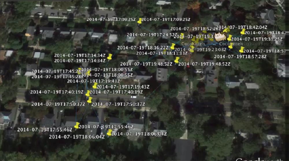 Конференция DEFCON 22. «Вооружение Ваших домашних питомцев. Боевая Киска и cобака для отказа сервиса». Джен Бренсфилд - 38
