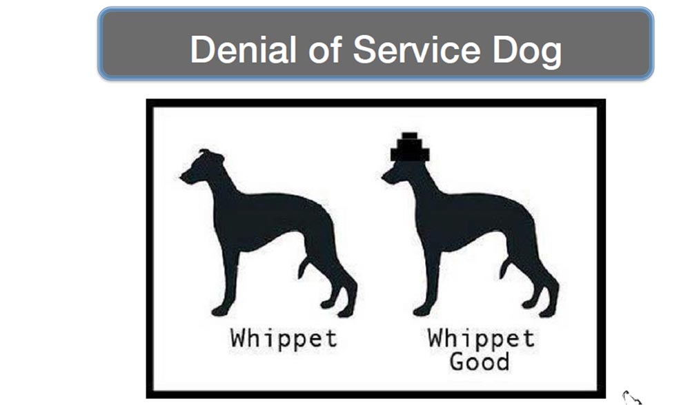 Конференция DEFCON 22. «Вооружение Ваших домашних питомцев. Боевая Киска и cобака для отказа сервиса». Джен Бренсфилд - 39