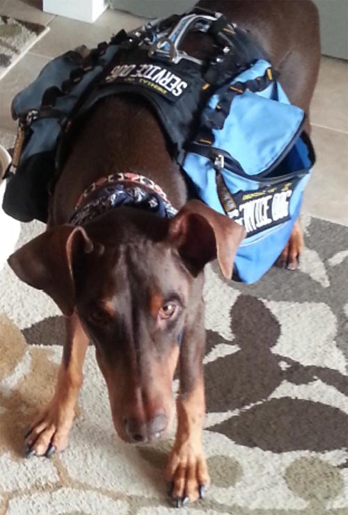 Конференция DEFCON 22. «Вооружение Ваших домашних питомцев. Боевая Киска и cобака для отказа сервиса». Джен Бренсфилд - 44