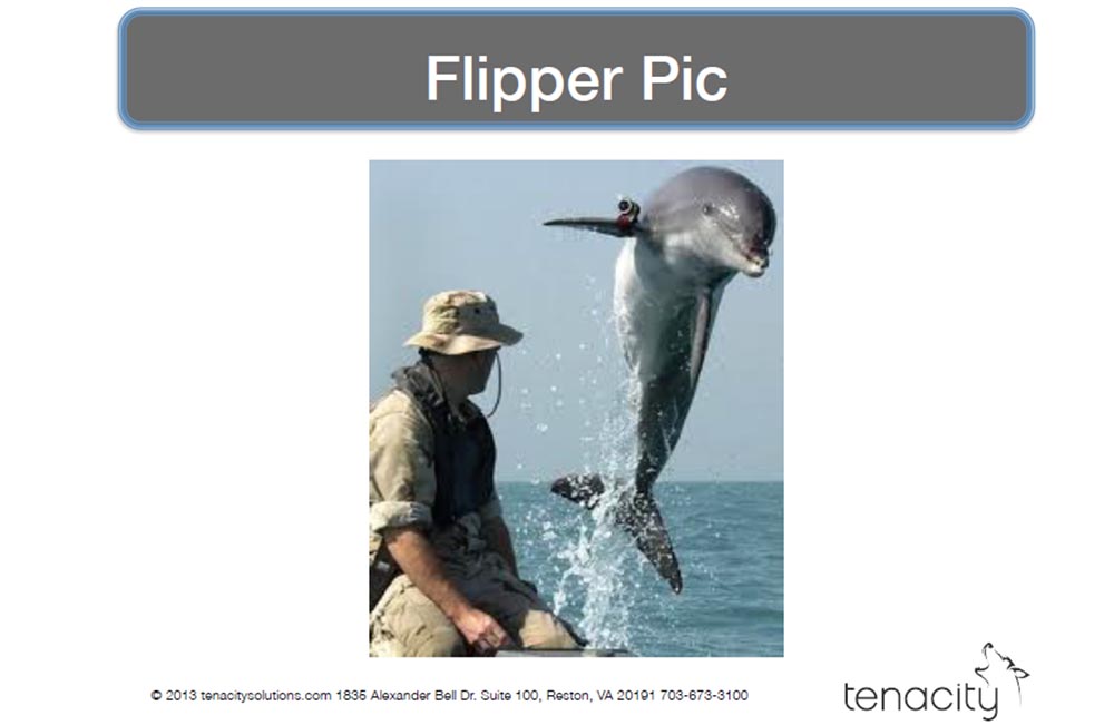 Конференция DEFCON 22. «Вооружение Ваших домашних питомцев. Боевая Киска и cобака для отказа сервиса». Джен Бренсфилд - 6