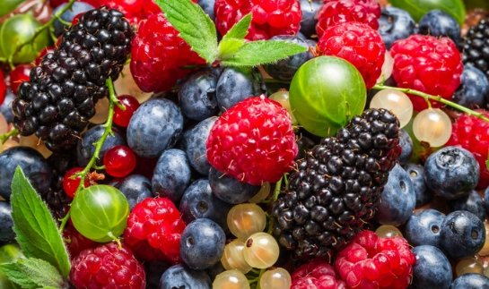 В борьбе с раком следует использовать дикие ягоды