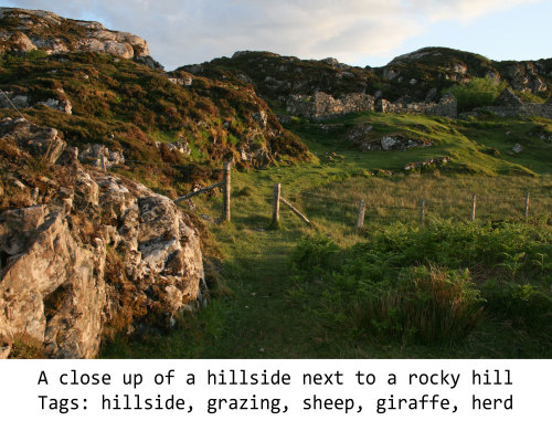 Мечтают ли нейросети об электроовцах? - 3 Мечтают ли нейросети об электроовцах? - 3