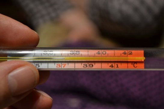 Создан видеозонд, позволяющий измерить температуру внутри человеческого тела
