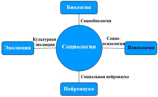 Исследования показывают: люди, у которых «чересчур много интересов» имеют больше шансов на успех - 6 Исследования показывают: люди, у которых «чересчур много интересов» имеют больше шансов на успех - 6