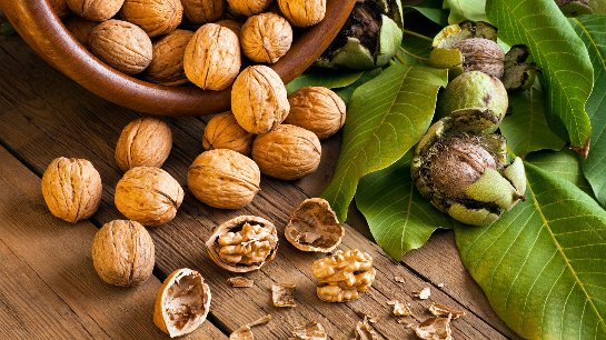 Грецкие орехи — хороший способ профилактики рака