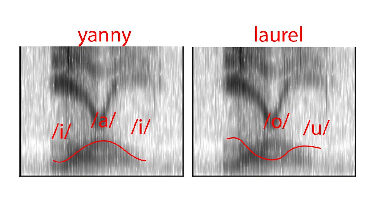 Laurel-Yanny: аудиоверсия сине-золотого платья - 3