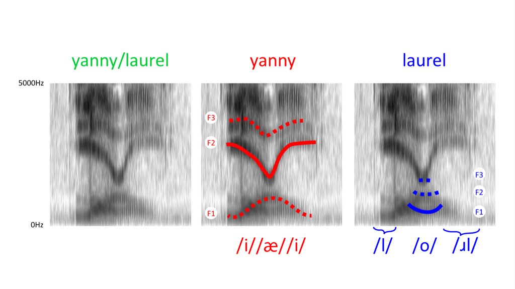 Laurel-Yanny: аудиоверсия сине-золотого платья - 5