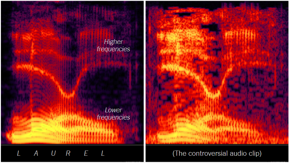 Laurel-Yanny: аудиоверсия сине-золотого платья - 9