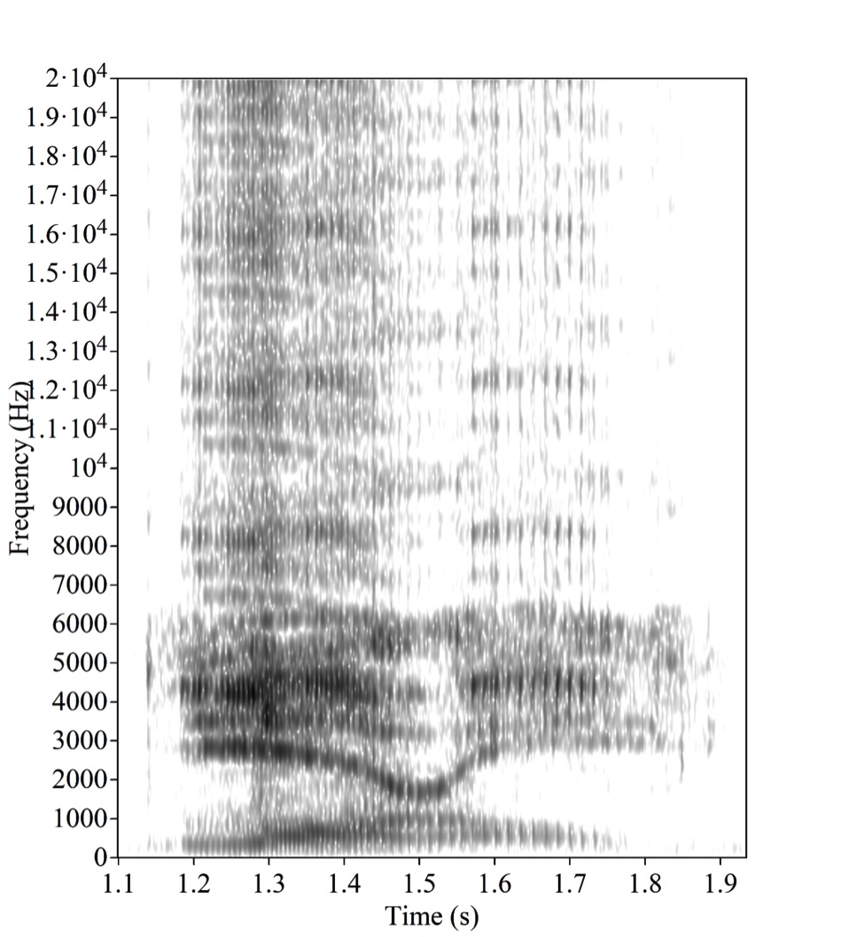 Laurel-Yanny: аудиоверсия сине-золотого платья - 1