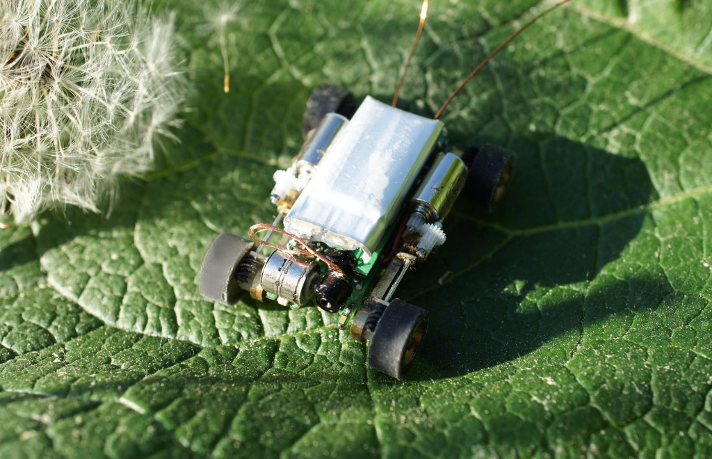 Хакспейс с человеческим лицом — Степан Глушков, орнитоптеры - 7 Хакспейс с человеческим лицом — Степан Глушков, орнитоптеры - 7