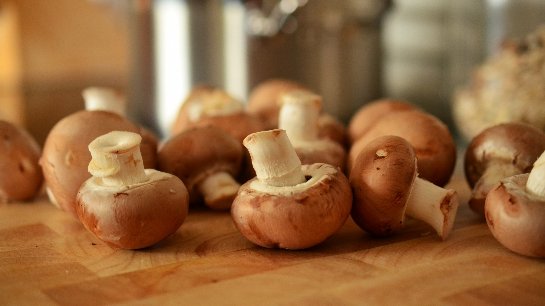 Ученые рассказали, почему грибы стоит вычеркнуть из рациона