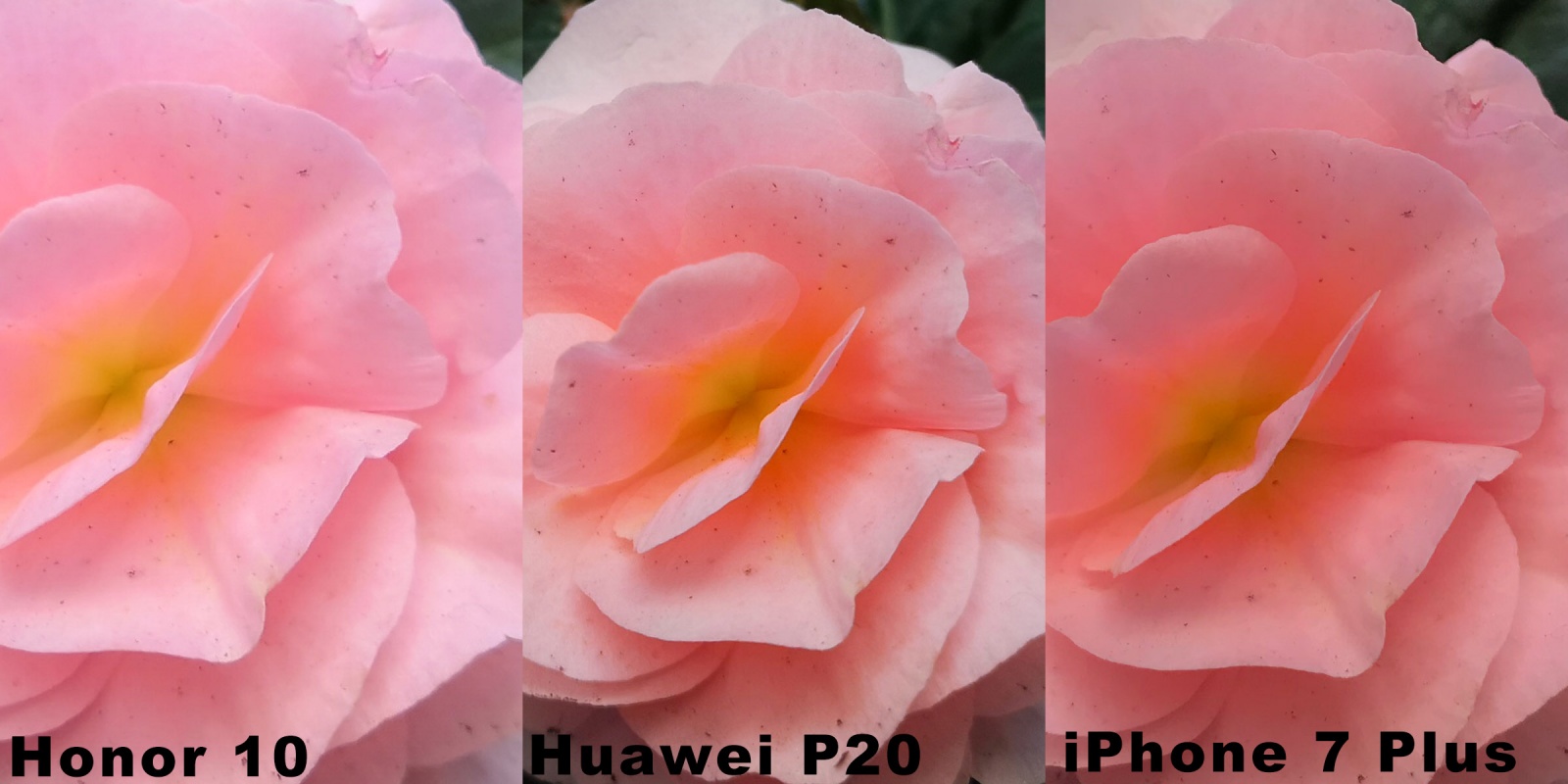 Как фотографирует новый Honor 10. Сравниваем с Huawei P20 и iPhone 7 Plus - 20