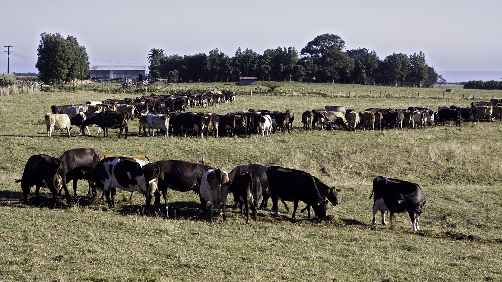 Закончились IPv4 — регистратор RIPE отдал последний блок - 2 Закончились IPv4 — регистратор RIPE отдал последний блок - 2