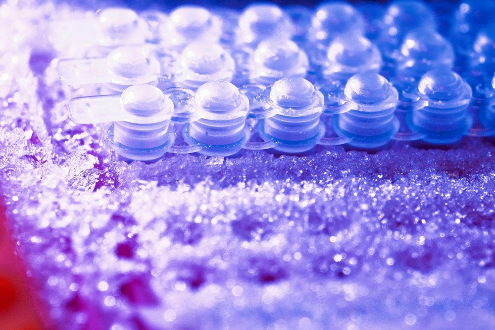 «Принцип макарон»: ученые организовали произвольный доступ к ДНК-памяти - 2