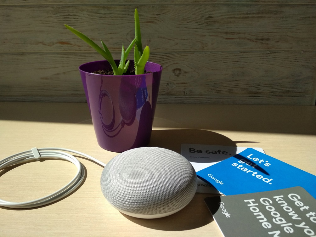 Amazon Echo Dot vs. Google Home Mini — какой помощник лучше? - 4