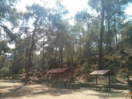 Как программисту переехать на Кипр - 5 Как программисту переехать на Кипр - 5