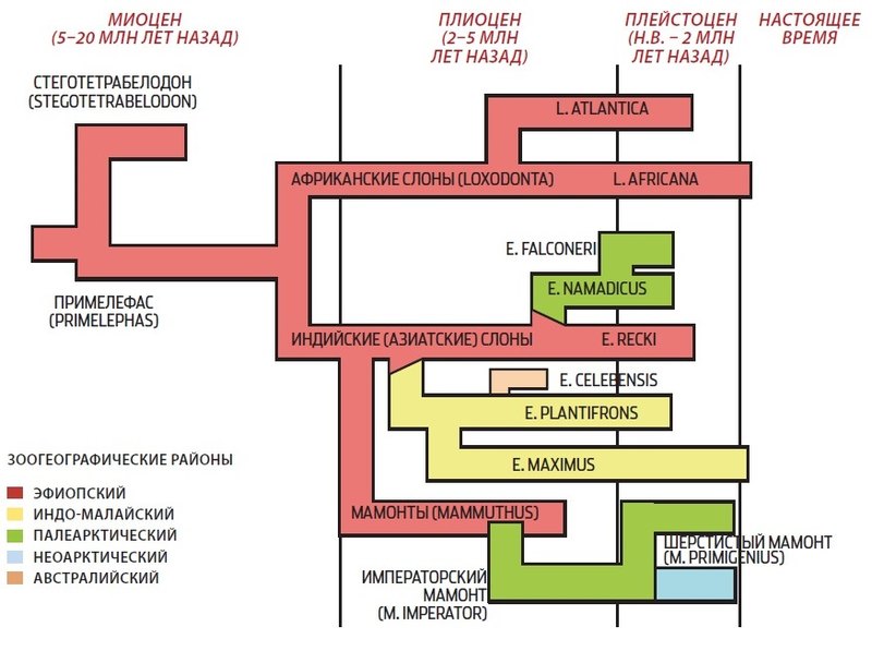 Можно ли возродить динозавров?