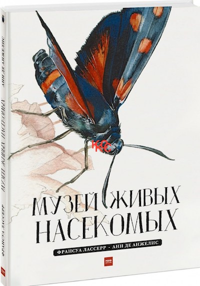 5 хороших книг на каникулы 5 хороших книг на каникулы