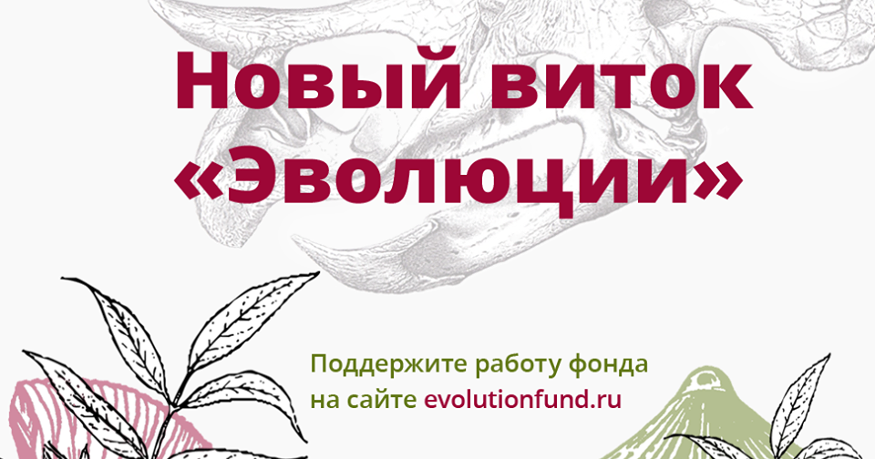 Фонд «Эволюция» запустил сбор средств на продолжение работы