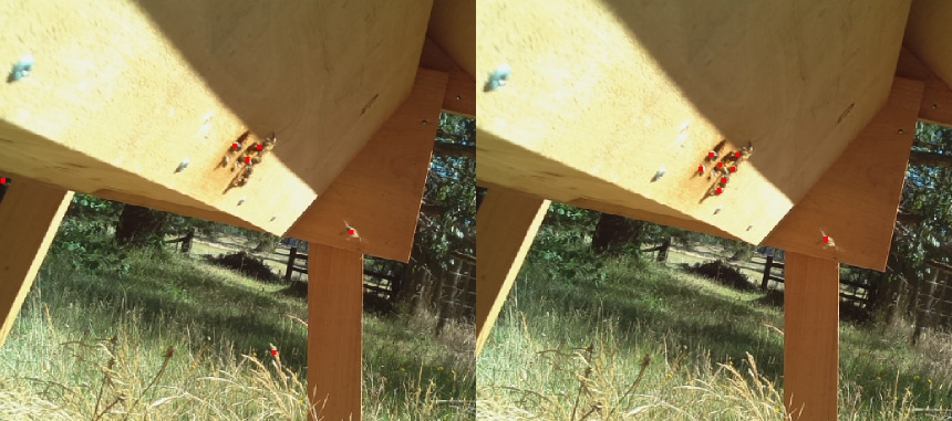 Подсчёт пчёл нейросетью на Raspberry Pi - 10 Подсчёт пчёл нейросетью на Raspberry Pi - 10